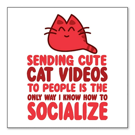 DistinctInk Custom Bumper Sticker - 3" x 3" Decorative Decal - White Background - Sending Cute Cat Videos How I Socialize