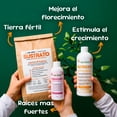 thumbnail image 2 of Kit Principiantes En Plantas - Nutrientes Escenciales Plantas Sanas y Fuertes - The Real Green, 2 of 7