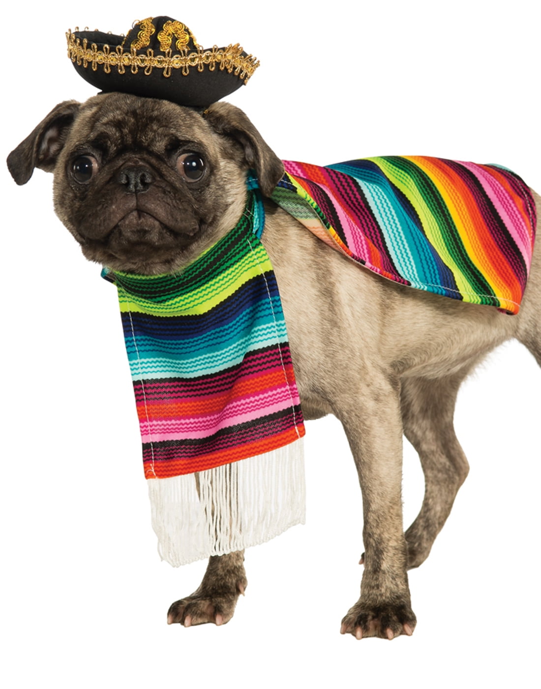 umbrella hats for dogs