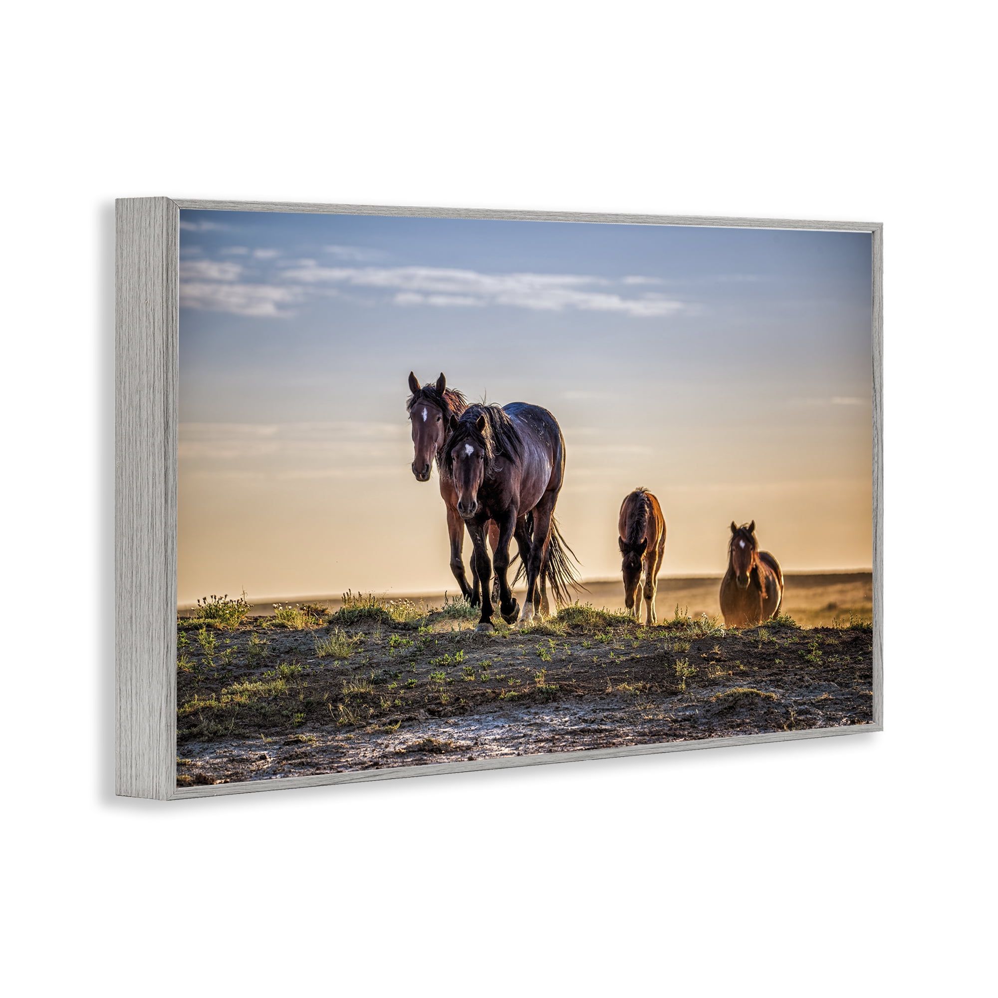 Stupell Industries Horses Coming Home Gray Framed Giclee Art, design by Tim West