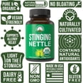 thumbnail image 3 of USDA Organic Stinging Nettle Vegan Capsules Made with Stinging Nettle Leaf Powder for Prostate, Hair Growth, Allergy. Better Than Root or Seed Extract. Plant Based Herb Supplement Tablets, 60 Pills, 3 of 7