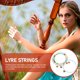 thumbnail image 3 of unbranded 15Ud Cuerdas Para Lira Con Tonos Y Materiales Resistentes Para Uso Prolongado, 3 of 8