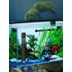 thumbnail image 3 of 2pcs Lcd Digital Thermometer Stickers With Color-changing Feature For Fish Tanks, Reptile Tanks Within 18-34°c Temperature Range, Suitable For Fish Ke, 3 of 5