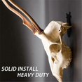 thumbnail image 3 of European Mount Skull Hanger Deer Skull Mount Metal Wall Mount Animal Skull Display Stand Wall Mount Trophy Display Racks, 3 of 5