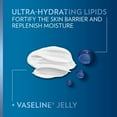 thumbnail image 5 of Vaseline Intensive Care Advanced Repair, Travel-Size 3-Pack – Fragrance-Free Body Lotion for Extremely Dry Skin, 2 Oz Ea, 5 of 9