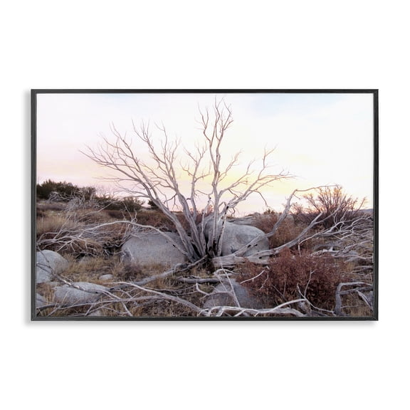 Stupell Industries Rocky Foothills Terrain Landscape & Nature Photography Black Framed Art Print Wall Art, 18 x 12