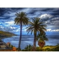thumbnail image 2 of Bolokofsky, Ronald 24x19 Gold Ornate Wood Framed with Double Matting Museum Art Print Titled - Tropical Paradise, 2 of 4