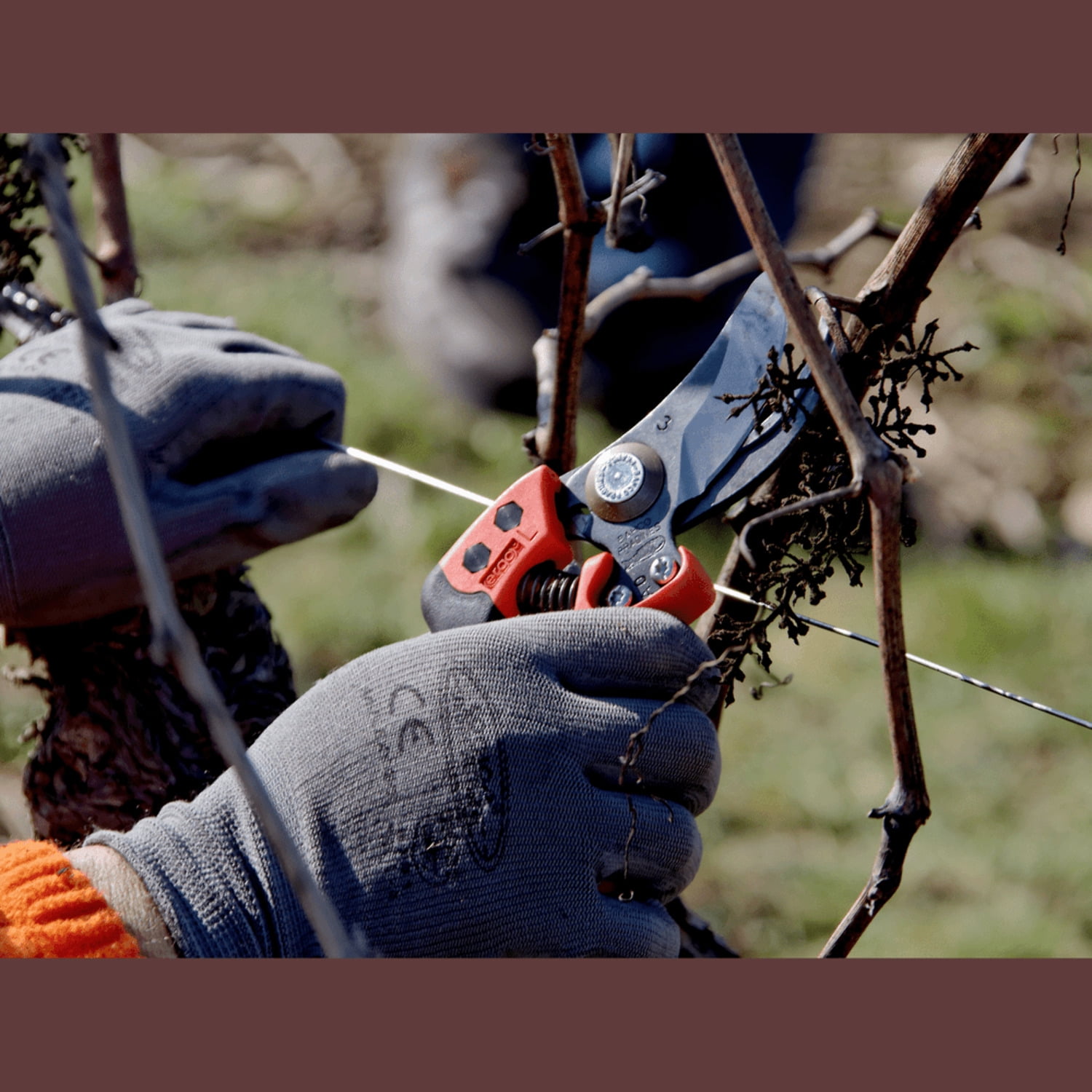 Bahco Professional Bypass Pruner PX-L2 - Thumbnail 5