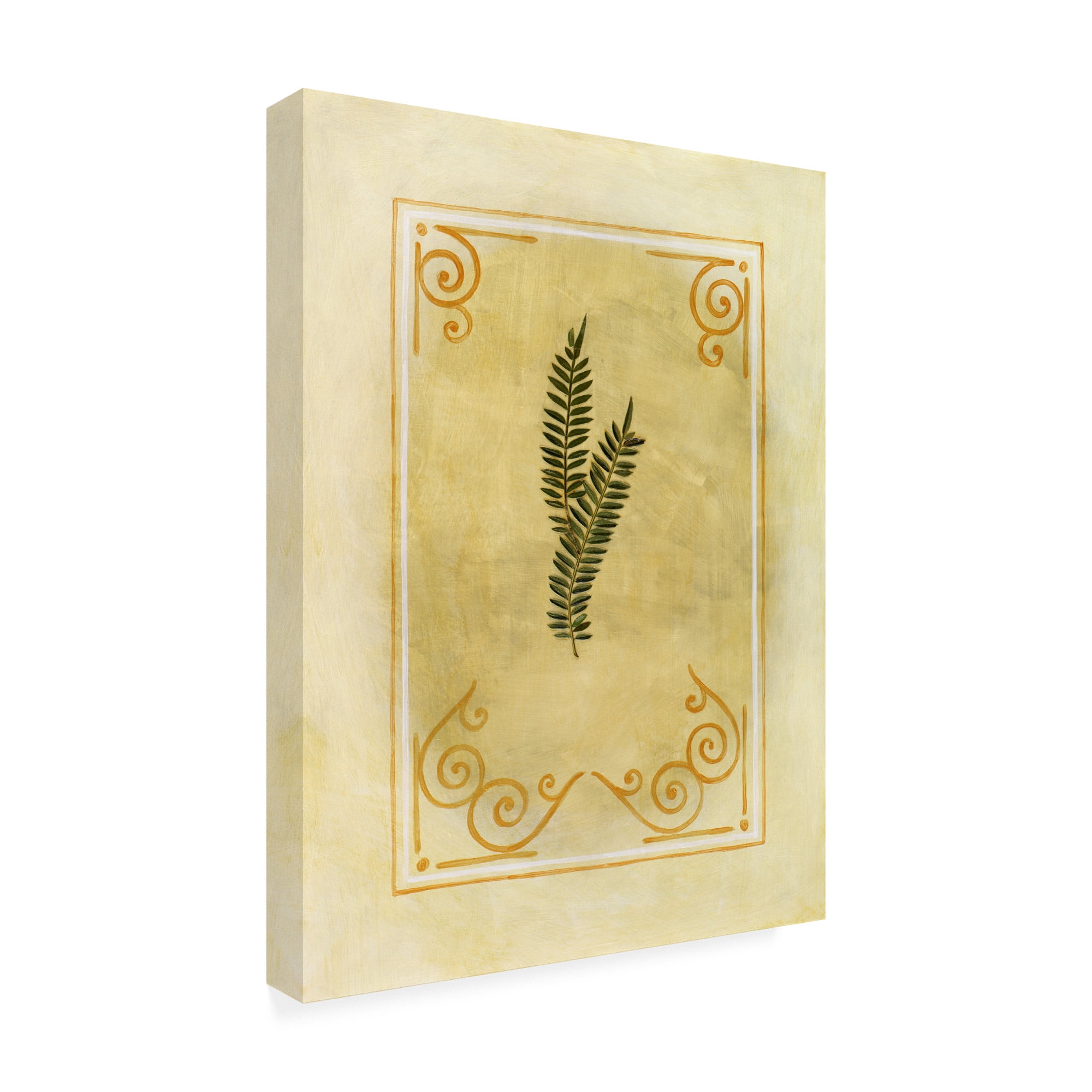 Trademark Fine Art 'Fern Leaf Framed 8' Canvas Art by Pablo Esteban