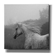 Epic Graffiti 'shira runs ' by Susan Friedman,, 18"x18"