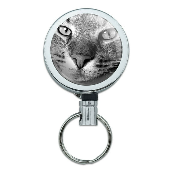 Domestic Shorthair Tabby Cat Retractable Belt Clip Badge Key Holder
