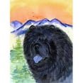 thumbnail image 1 of Carolines Treasures SS8191GF Chow Chow Drapeau - Taille Jardin, 1 of 3