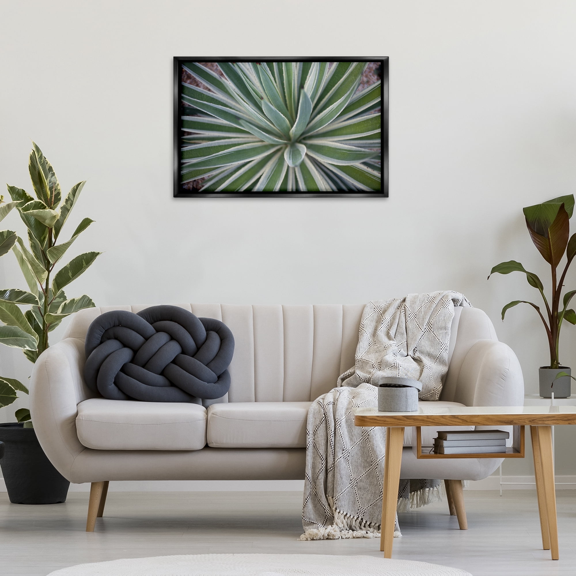 Stupell Industries Centric Succulent Leaves Botanical & Floral Photography Black Floater Framed Canvas Art Print Wall Art, 31 x 21
