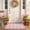 Pink, variant on Pink and White Outdoor Rug 24x35 Inch, Buffalo Plaid Checked Cotton Woven Washable Doormat, Farmhouse Layering Rug for Front Porch Entryway, Welcome Mat for Dining Room Bedroom Living Room