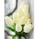 thumbnail image 5 of 30 Pcs Real-touch Artificial Tulip Flowers Home Wedding Party Decor, 5 of 5