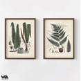 thumbnail image 6 of Collected Ferns V and VI, Set of 2 Vintage Rustic Fern Branch Poster, Last Minute Gift Idea, Extra Large Lobby Decor, Fern Bathroom Wall Art, 6 of 9
