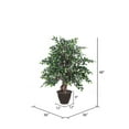 thumbnail image 2 of Vickerman 4' Artificial Mini Ficus Extra Full Bush, Brown Plastic Container., 2 of 2