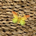 thumbnail image 4 of KAKOWELY 24Pcs Replaceable Push Pin Multi-function Thumbtacks Butterfly Shape Thumb Tacks Map Supply,1.5"X0.91"X0.59", 4 of 5