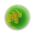 thumbnail image 1 of Suelos sensoriales líquidos, azulejos decorativos, juguetes de aprendizaje temprano, suelos sensoriales líquidos, estera decorativa para niños, regalo amarillo y verde Macarena Líquido Los Azulejos, 1 of 8