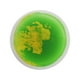 thumbnail image 1 of Tapete de juego de actividades sensoriales Liquid Sensory Floors Tapete de juego de actividades multicolor para amarillo y verde, 1 of 9