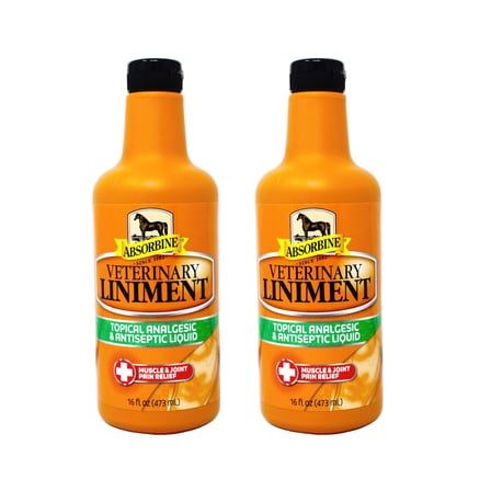 Absorbine Topical Analgesic & Antiseptic Veterinary Liniment Muscle & Joint Pain Relief, 16 oz - 2 Pack
