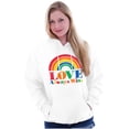 thumbnail image 3 of Vintage Love Always Wins Rainbow Unisex Plus Fleece Graphic Hoodie Brisco Brands 2X, 3 of 5