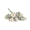 thumbnail image 2 of Joernso 1Pc Artificial Flower Pine Cone DIY Garden Stage Party Home Wedding Craft Decor, 2 of 3