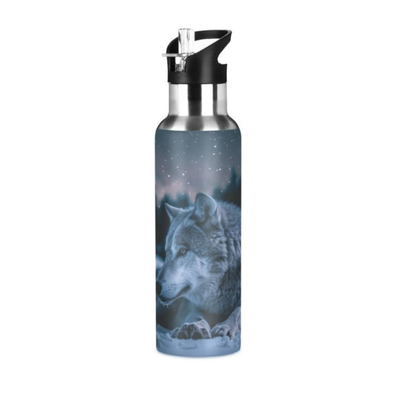 ALAZA Wolf in Night Sky Water Bottle Insulated Flask Stainless Steel Straw Lid 20 oz