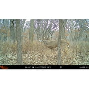 Wildgame Innovations Terra XT 2.0 Cellular Trail Camera 24MP