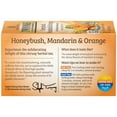 thumbnail image 6 of Twinings Honeybush, Mandarin & Orange Herbal Tea Bags, Caffeine Free, 20 Count Box, 6 of 7