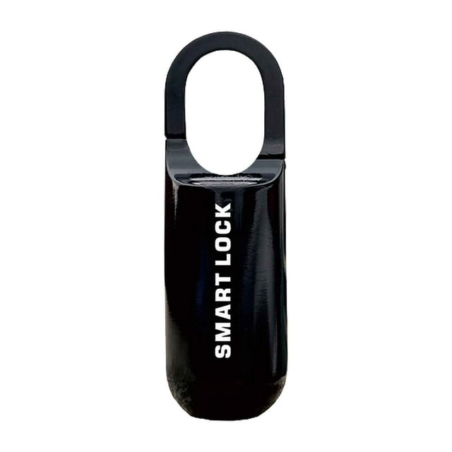 LSLJS USB Charging Case and Bag Small Padlock Fingerprint Unlocking, Home Accessories