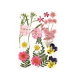 thumbnail image 5 of Wosthever Calcomanía de flores secas, pegatina de maquillaje Natural para mujer, accesorios DIY, decoración artesanal, rellenos para manualidades, Type2 NO2 Wosthever CBP288715, 5 of 5