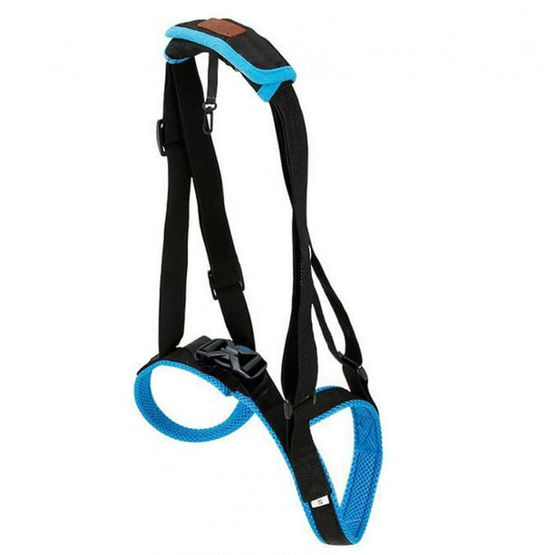 Dog full belt hot sale