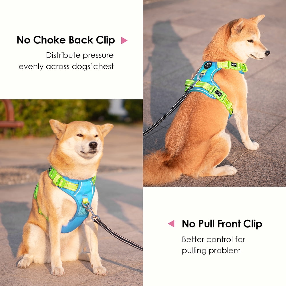 PHOEPET No Pull Dog Harness, Unique Colors Reflective Adjustable Dog Vest, with Soft Training Handle Metal Clips for Small Medium Large Dogs (Blue Base & Green Straps)