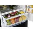thumbnail image 4 of Classic Retro 24 In 12 Cu.ft. Bottom Mount Refrigerator Auto Defrost, Eenergy Star Certified, Counter Depth with Manual Ice maker, 4 of 9