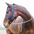thumbnail image 2 of Horze Poly Lead Rope, 2 of 3