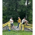thumbnail image 5 of Ted Segers 12 Pack Non Alcoholic Beer, 5 of 8