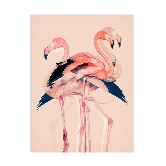 Trademark Fine Art Baard Martinussen Flamingos nr. 3 Canvas Wall Art