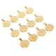 thumbnail image 5 of 12 Uds. Colgante de signo del zodiaco de acero inoxidable chapado en oro plano redondo para mujeres y hombres, 5 of 5