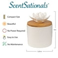 thumbnail image 2 of ScentSationals Ceramic Flower Essential Oil Diffuser - Passive Wicking Aromatherapy Diffuser for Living Room or Bedroom - No Power Home Fragrance Diffuser for Scented Essential Oils - Lyle, 2 of 5