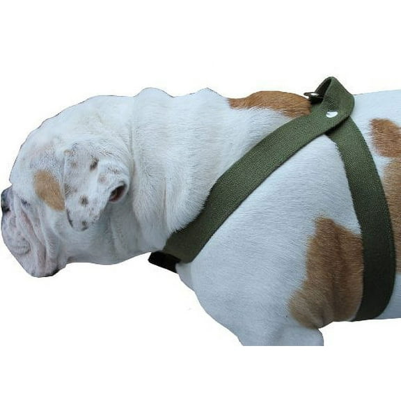 Cotton Web Dog Harness XLarge. Fits Girth 36"-41". 1.5" Wide Straps, Rottweiler, Doberman, Boxer