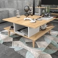 thumbnail image 4 of Akya Rectangle Two Floor Coffee Table - Sapphire Oak & White, 4 of 5