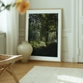 thumbnail image 6 of Bay Circuit Forest 02 - Marlborough Massachusetts Photography Forest Nature Landscape Scenic Botanical Autumn Rural Oak Framed Wall Art Print 11 x 14 inches, 6 of 12