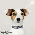 thumbnail image 3 of Regal Dog Products Designer Collars | Custom Fit for Small, Medium & Large Dogs, 3 of 9