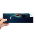 thumbnail image 1 of Autocollant Rectangle Pare-Chocs Image Nature Patinage Rayon Océan pour Fenêtre, 1 of 1