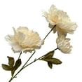 thumbnail image 4 of LCXmlly Clothes Storage Bag Simulation Peony 3 Heads Realistic Faux Silk Flower Photo Props, 4 of 6