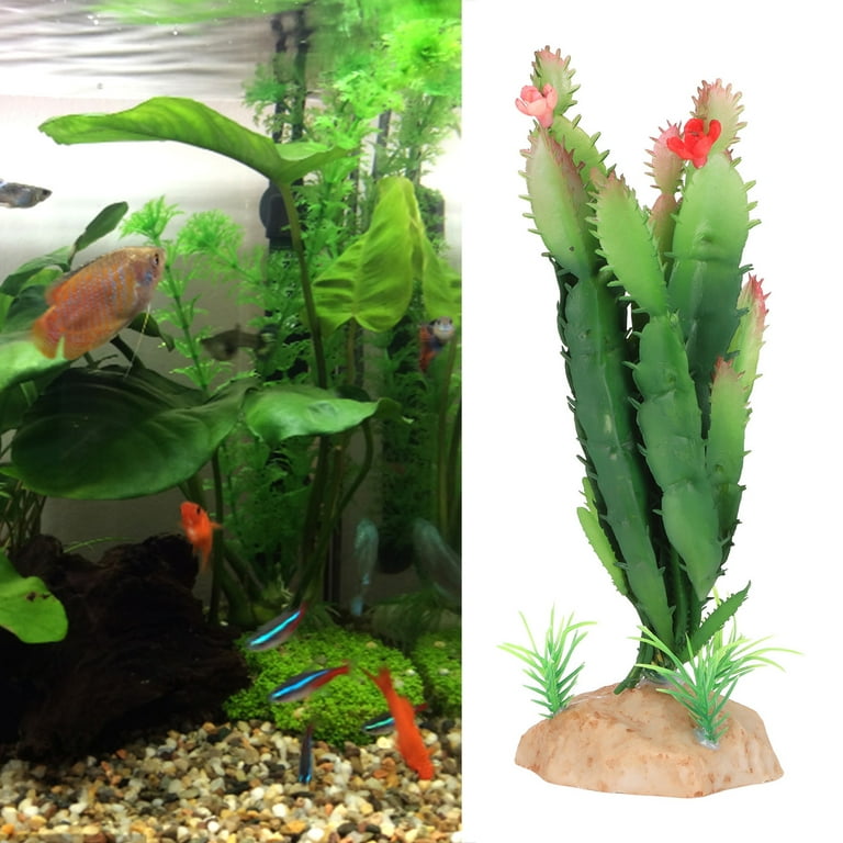 Cactus aquarium decoration cheap