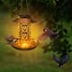 thumbnail image 5 of Fiudx Comedero Solar para Pájaros, Farol Colgante de Metal, Comedero de Hierro Duradero, Decoración de Jardín, para Exteriores, Resistente a La Intemperie, Ideal para Observar Aves., 5 of 6