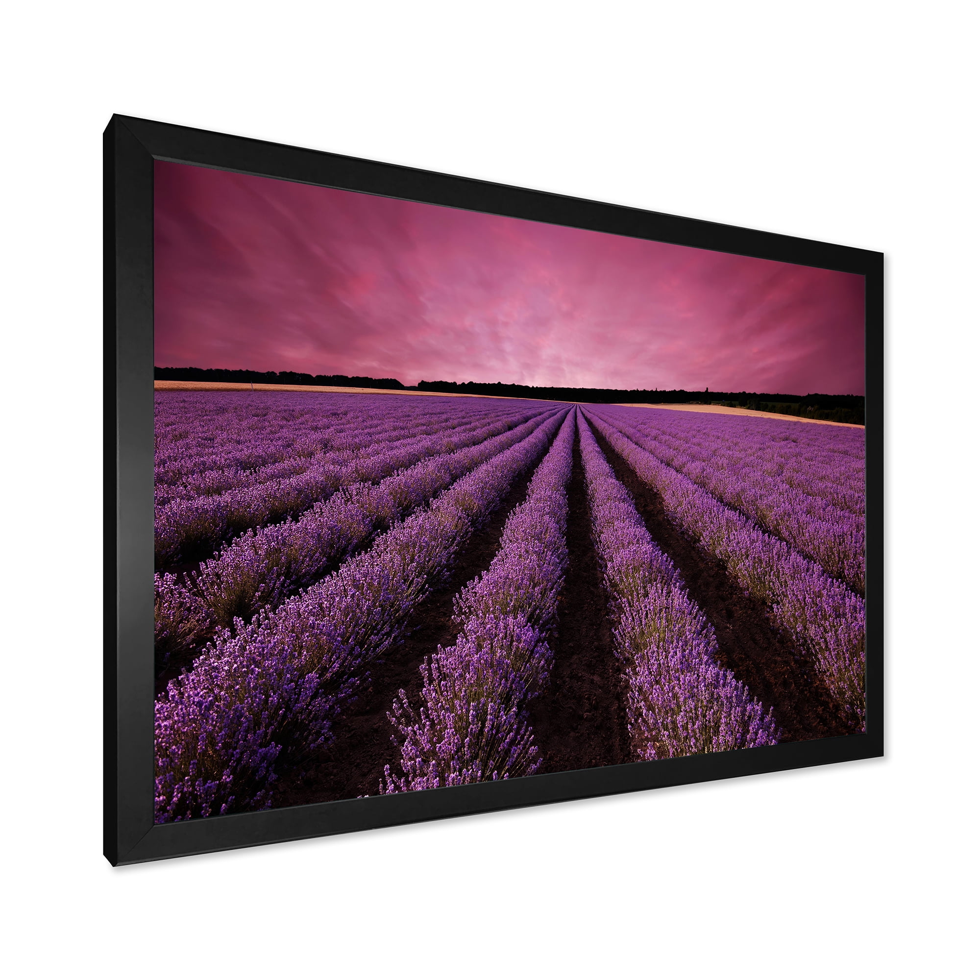 Designart 'Dramatic Clouds and Sunrise Over Lavender Field XI' Farmhouse Framed Art Print
