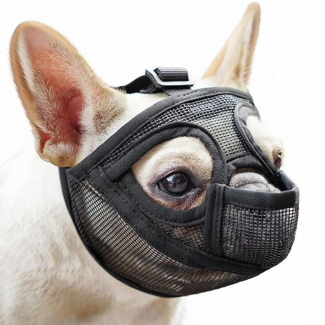Bozal Mayerzon con hocico corto para perro French Bulldog Mesh